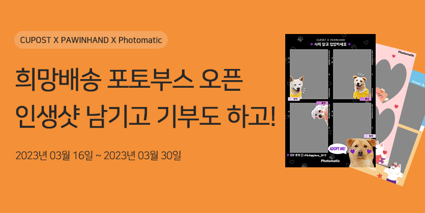 포토